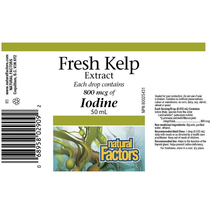 Natural Factors Fresh Kelp Extract 50mL Supplements - Thyroid at Village Vitamin Store