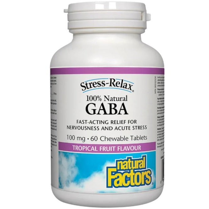 Natural Factors GABA 100mg - 60 Chew Tabs Supplements - Stress at Village Vitamin Store