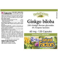 Natural Factors Herbal Factors Ginkgo Biloba 60mg 120 Caps Supplements - Cognitive Health at Village Vitamin Store