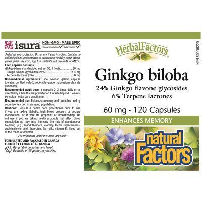 Natural Factors Herbal Factors Ginkgo Biloba 60mg 120 Caps Supplements - Cognitive Health at Village Vitamin Store