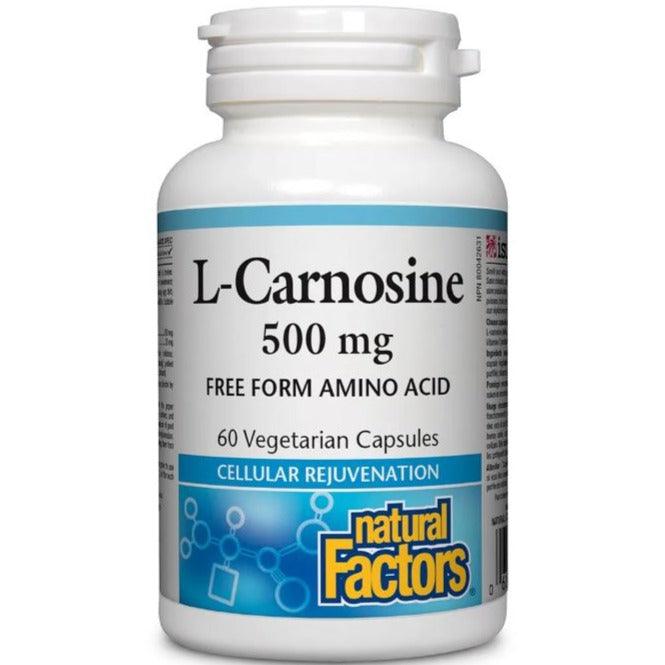Natural Factors L-Carnosine 500mg 60 Veggie Caps Supplements - Amino Acids at Village Vitamin Store