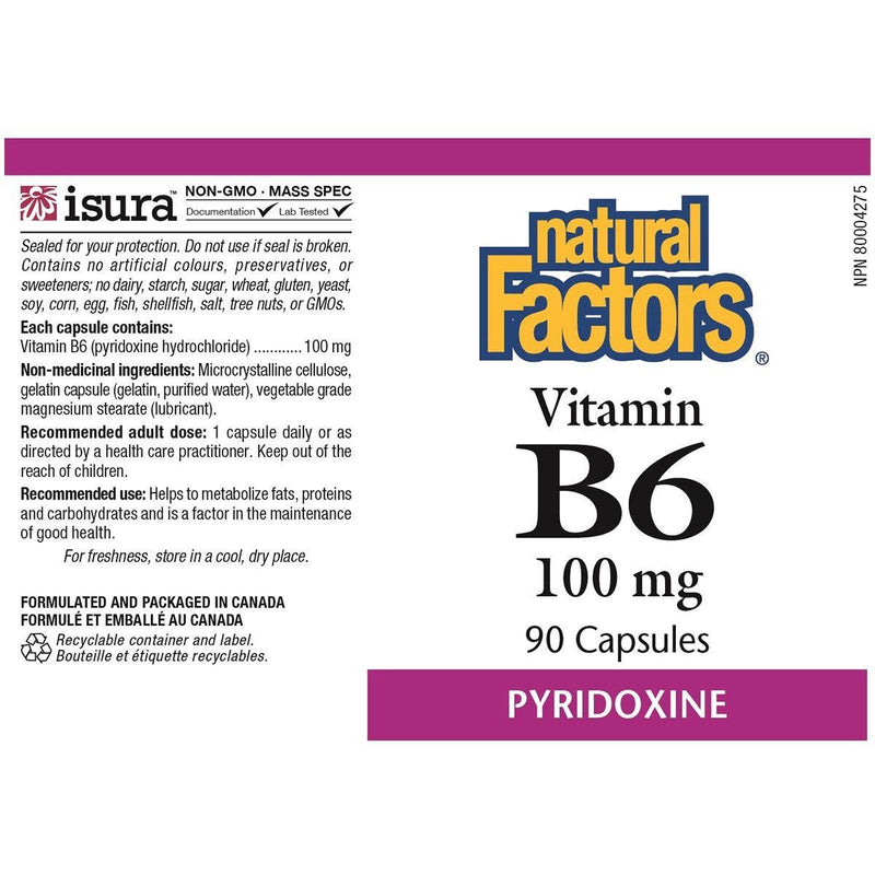 Natural Factors Vitamin B6 Pyridoxine 100mg 90 Tabs Vitamins - Vitamin B at Village Vitamin Store