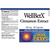 Natural Factors WellBetX Cinnamon Extract 150mg 60 Caps Supplements - Blood Sugar at Village Vitamin Store
