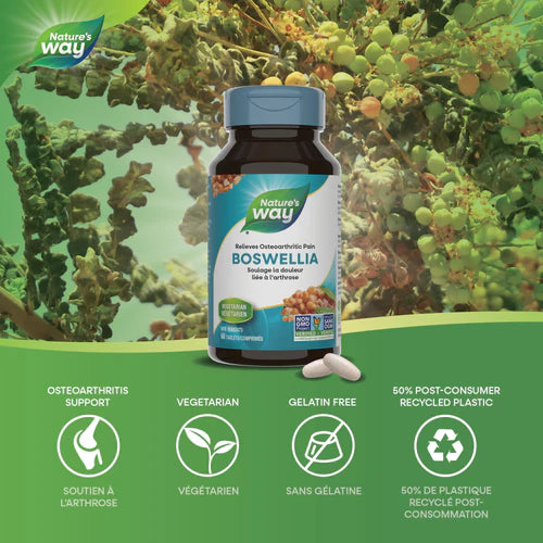 Nature's Way Boswellia 307MG 60 Tabs
