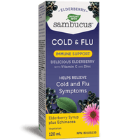 Nature's Way Sambucus Elderberry Syrup Immune Support 120mL Cough, Cold & Flu at Village Vitamin Store