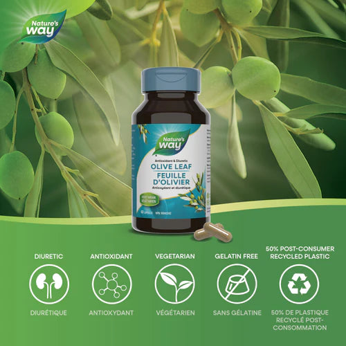 Nature's Way Olive Leaf 60 Capsules