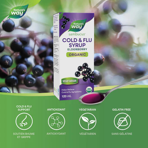 Nature's Way Organic Sambucus Elderberry Syrup 120mL