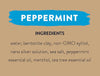 Redmond EarthPaste Peppermint Toothpaste 113g Toothpaste at Village Vitamin Store
