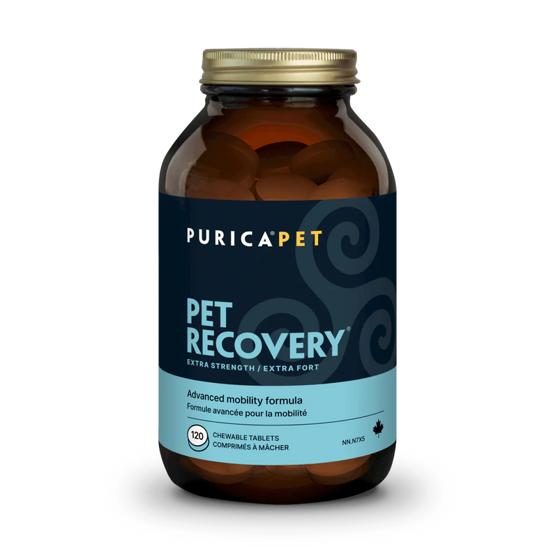 Purica Recovery Extra Strength 60/120 Chewable Tabs
