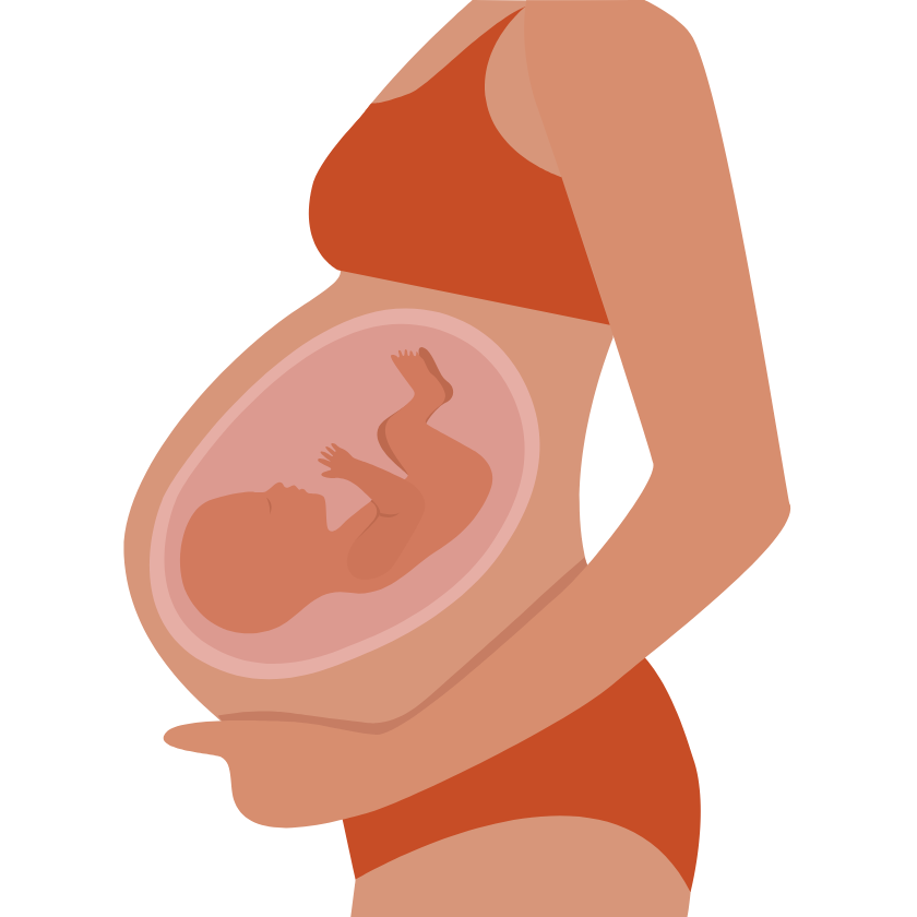 Prenatal Supplements