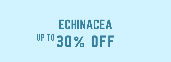 Echinacea Supplements – Immune Support & Wellness