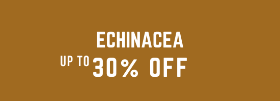 Echinacea Supplements – Immune Support & Wellness