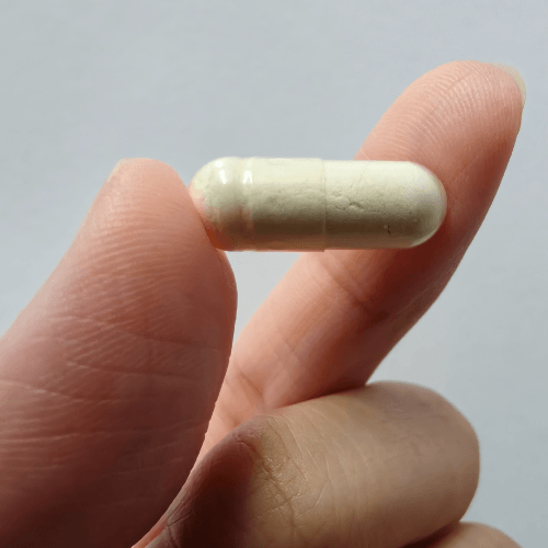 Probiotics
