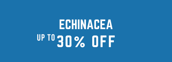 Echinacea Supplements – Immune Support & Wellness