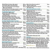 Progressive VegEssential All in One Natural Chocolate 840g Supplements - Greens at Village Vitamin Store