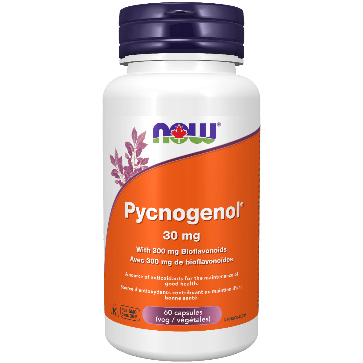 NOW Pycnogenol® 30 mg with Bioflavonoids 60 Capsules Supplements at Village Vitamin Store