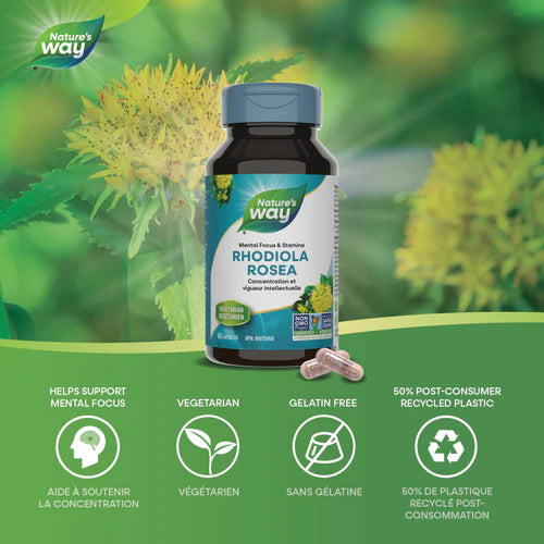 Nature's Way Rhodiola 60 Caps
