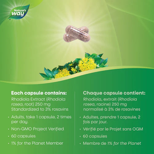 Nature's Way Rhodiola 60 Caps