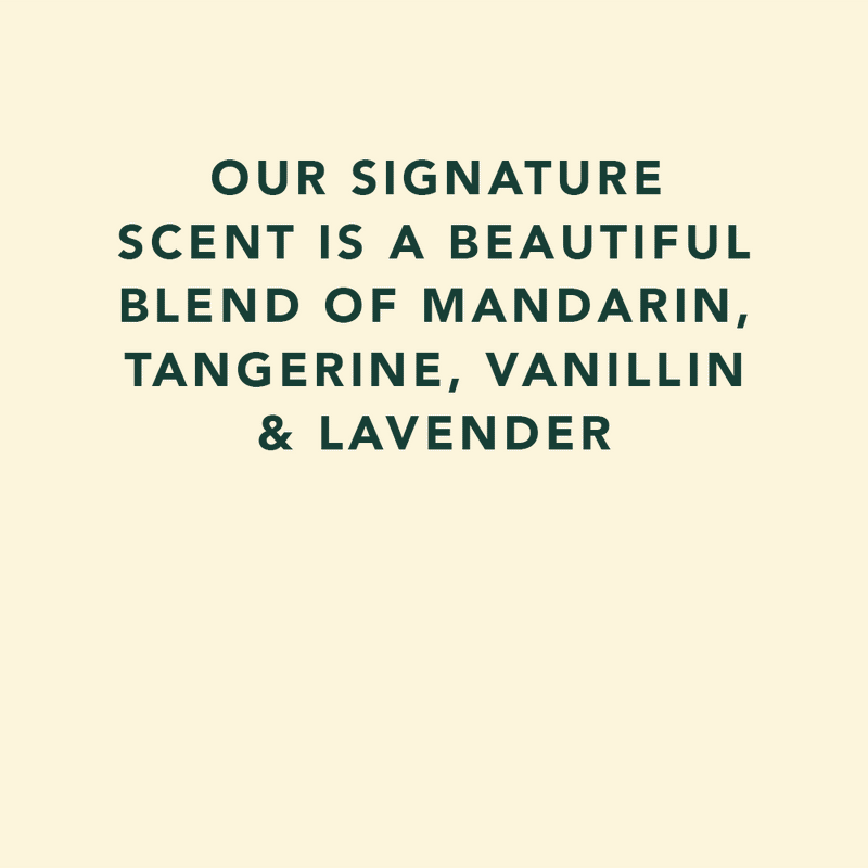 Sukin Botanical Body Lotion Lime & Coconut - 500 mL