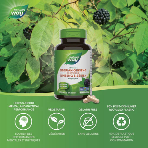 Nature's Way Siberian Ginseng 100 Caps