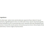 Spry Oral Rinse Spearmint 473mL Oral Care at Village Vitamin Store