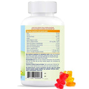 Allkidz Naturals Multi Gummy Bears 110 Gummies Supplements - Kids at Village Vitamin Store