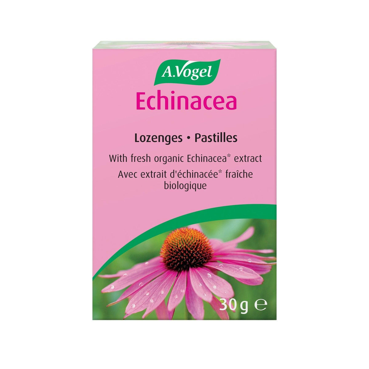 A. Vogel Echinacea Lozenges 30g Cough, Cold & Flu at Village Vitamin Store