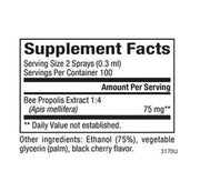 Natural Factors Bee Propolis Throat Spray 30mL Cough, Cold & Flu at Village Vitamin Store