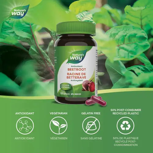 Nature’s Way – BEET ROOT 500mg 100 Caps