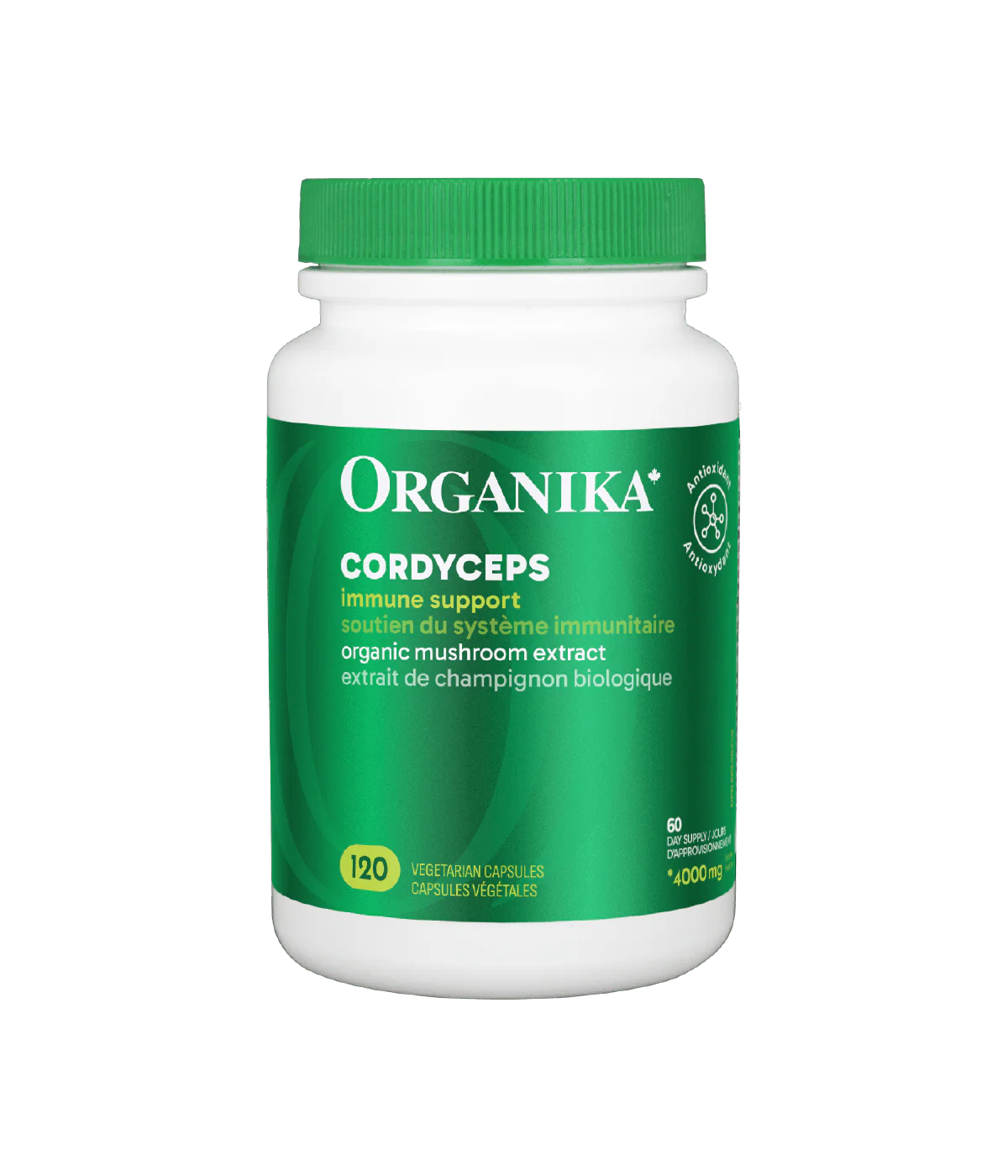 Cordyceps