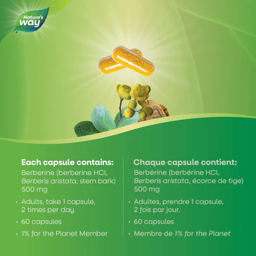 Nature’s Way Berberine 60 Vegetarian Capsules