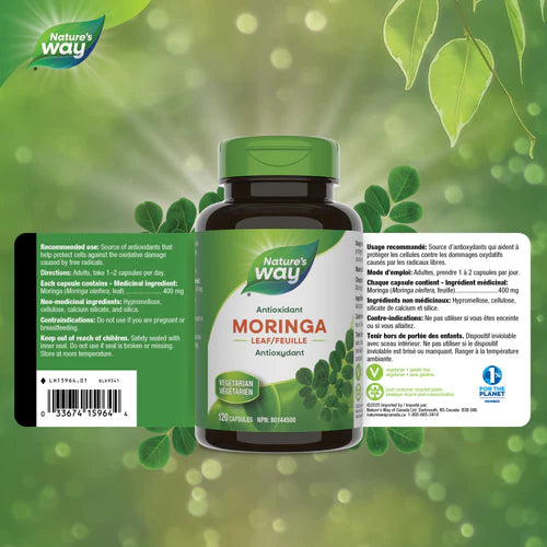 Nature's Way Moringa Leaf | Antioxidant Support | 120 Capsules