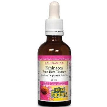 Natural Factors Echinacea Fresh Herb Tincture 50ml (Previously Anti Cold) Cough, Cold & Flu at Village Vitamin Store