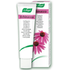 A. Vogel Echinacea Toothpaste 100g Toothpaste at Village Vitamin Store