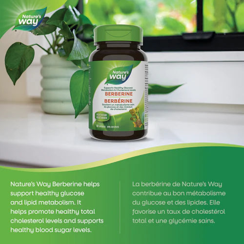 Nature’s Way Berberine 60 Vegetarian Capsules