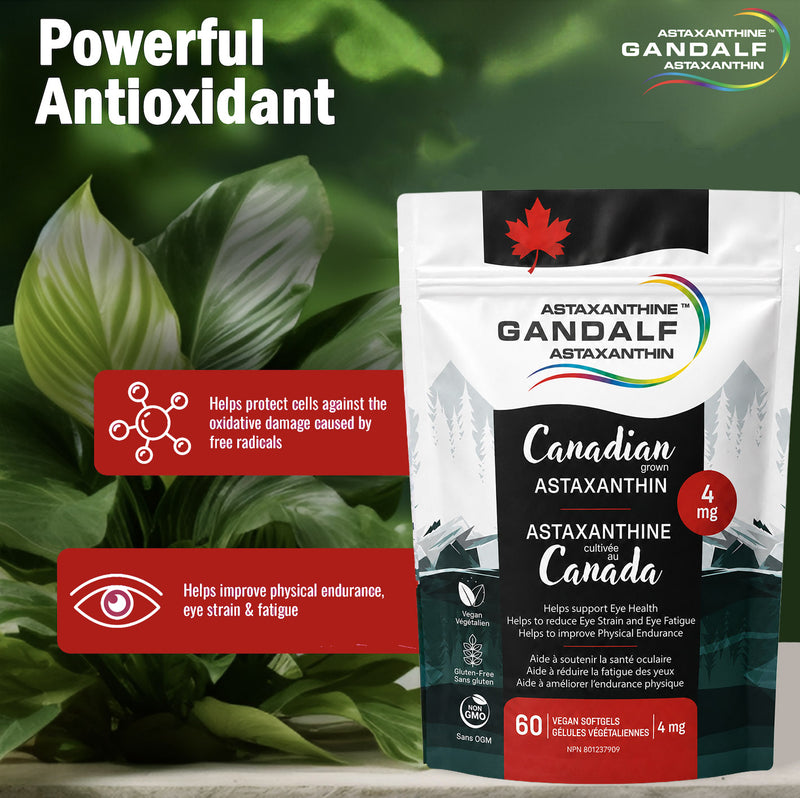 Gandalf -  Astaxanthin 60 Softgels