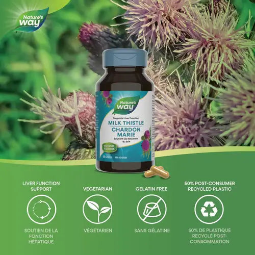 Nature’s Way – Milk Thistle 60 Vege Caps