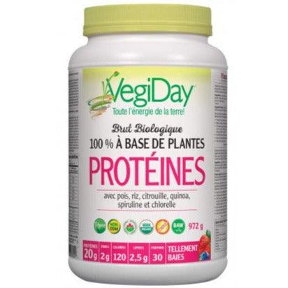 Vegiday Raw Organic Plant Based Protein Berrylicious 972g Supplements - Protein at Village Vitamin Store