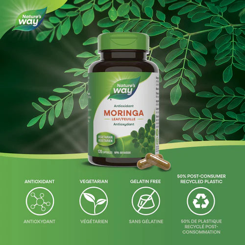 Nature's Way Moringa Leaf | Antioxidant Support | 120 Capsules