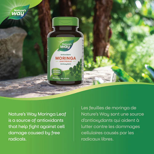 Nature's Way Moringa Leaf | Antioxidant Support | 120 Capsules