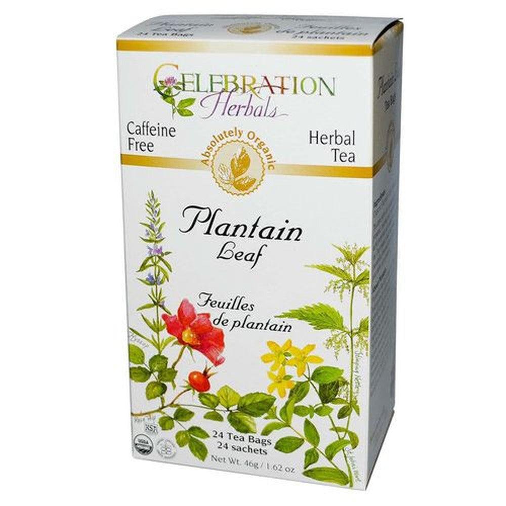 Celebration Herbals Plantain Leaf Herbal Tea 24 Tea Bags-Village Vitamin Store