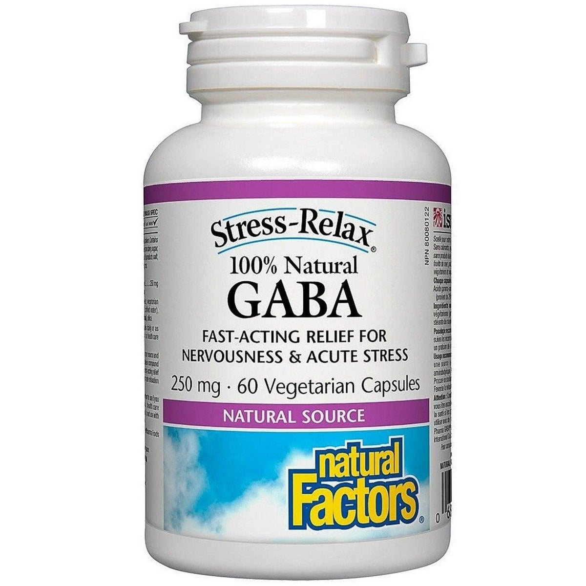 Natural Factors Stress-Relax Gaba 250mg 60 Veggie Caps Supplements - Stress at Village Vitamin Store