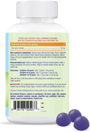 ALLKIDZ NATURALS Zinc (90 Gummies) Supplements - Kids at Village Vitamin Store