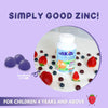 ALLKIDZ NATURALS Zinc (90 Gummies) Supplements - Kids at Village Vitamin Store