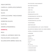 Annemarie Borlind Anti-Aging Makeup Honey 30mL Cosmetics - Makeup at Village Vitamin Store