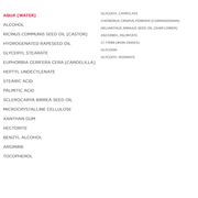 Annemarie Borlind Lift & Length Mascara 9.3mL Cosmetics - Eye Makeup at Village Vitamin Store