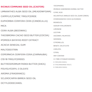 Annemarie Borlind Lipstick Hot Pink 4.2g Cosmetics - Lip Makeup at Village Vitamin Store