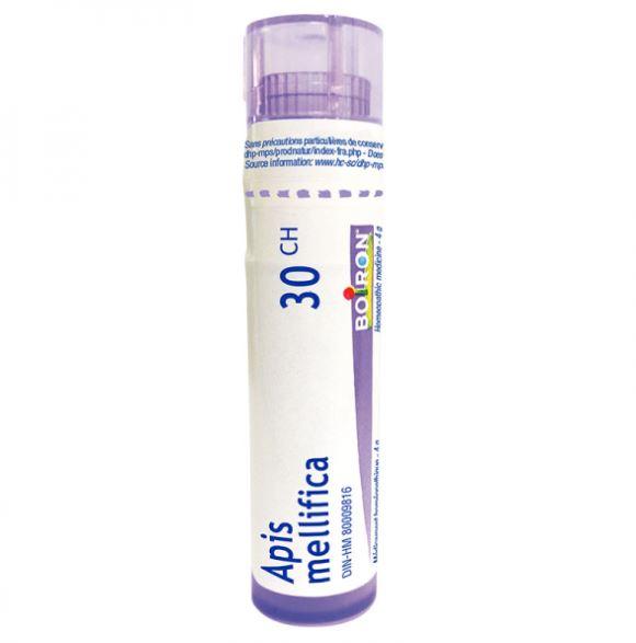 Boiron Apis Mellifica 30 CH Homeopathic at Village Vitamin Store