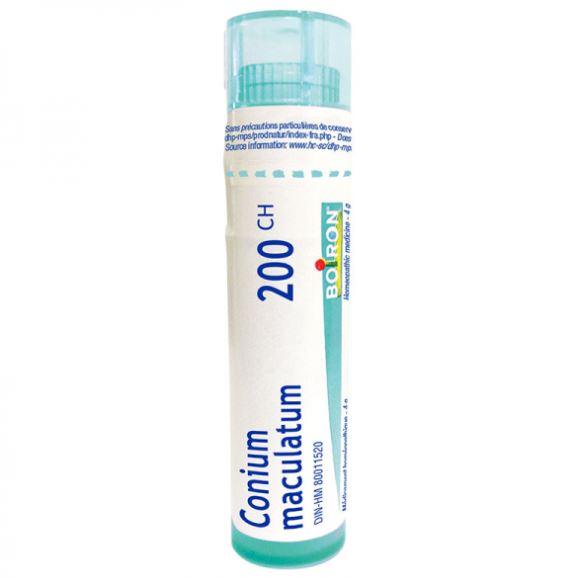 Boiron Conium Maculatum 200CH Homeopathic at Village Vitamin Store