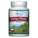 Omega Alpha Ginkgo Biloba 180 Caps-Village Vitamin Store